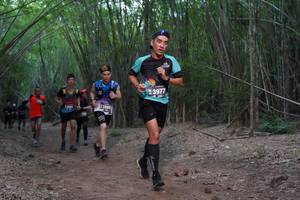 BIB: 3977, 
                            <button type="button" onclick="openModal(4102126)" class="btn btn-primary btn-sm float-right btn-popup" data-toggle="modal" data-target=".modal-high-quality">
                        <i class="fas fa-shopping-cart"></i> Add to Cart
                    </button>
                                            <button type="button" onclick="isThisMe(4102126, true)" class="btn btn-success btn-sm float-right btn-popup btn-isme hidden" data-toggle="tooltip" data-placement="bottom" title="นี่คือรูปของคุณใช่ไหม คลิกที่นี่เพื่อเอาเข้าอัลบั้ม">
                        <i class="fas fa-plus"></i> Add to album
                    </button>
                    <button type="button" onclick="isThisMe(4102126, false)" class="btn btn-warning btn-sm float-right btn-popup btn-isnotme hidden">
                        <i class="fas fa-ban"></i> Remove from album
                    </button>